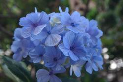 Ormoni sessuali: le differenze tra uomo e donna